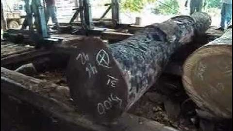 loading a fine cerejeira log with a winch and a hook on the cable car