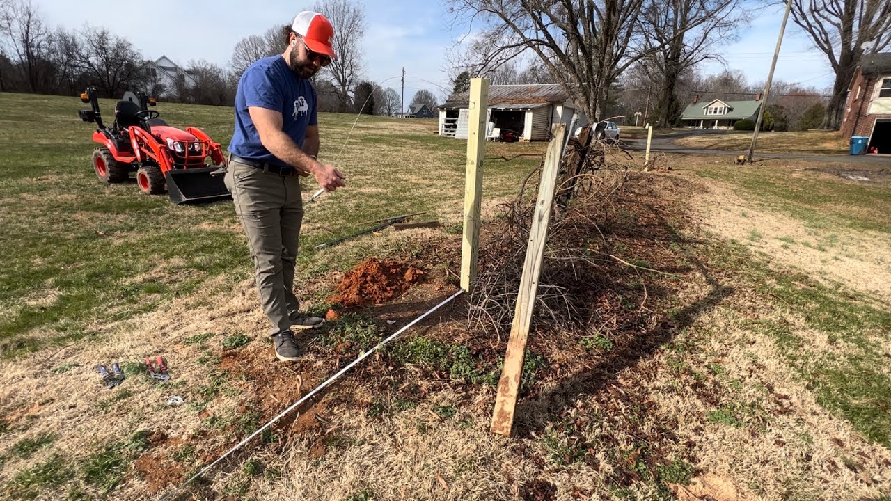 From the Ground Up! Rebuilding a Muscadine Trellis YouTube