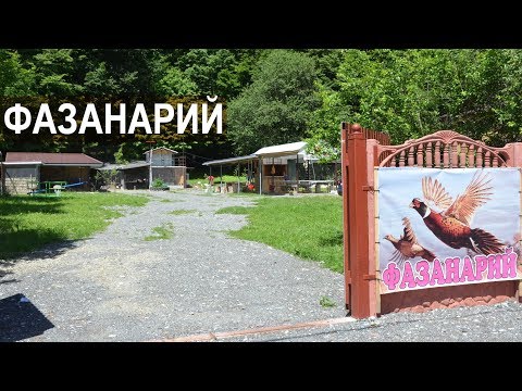 Строящийся фазанарий. Республика