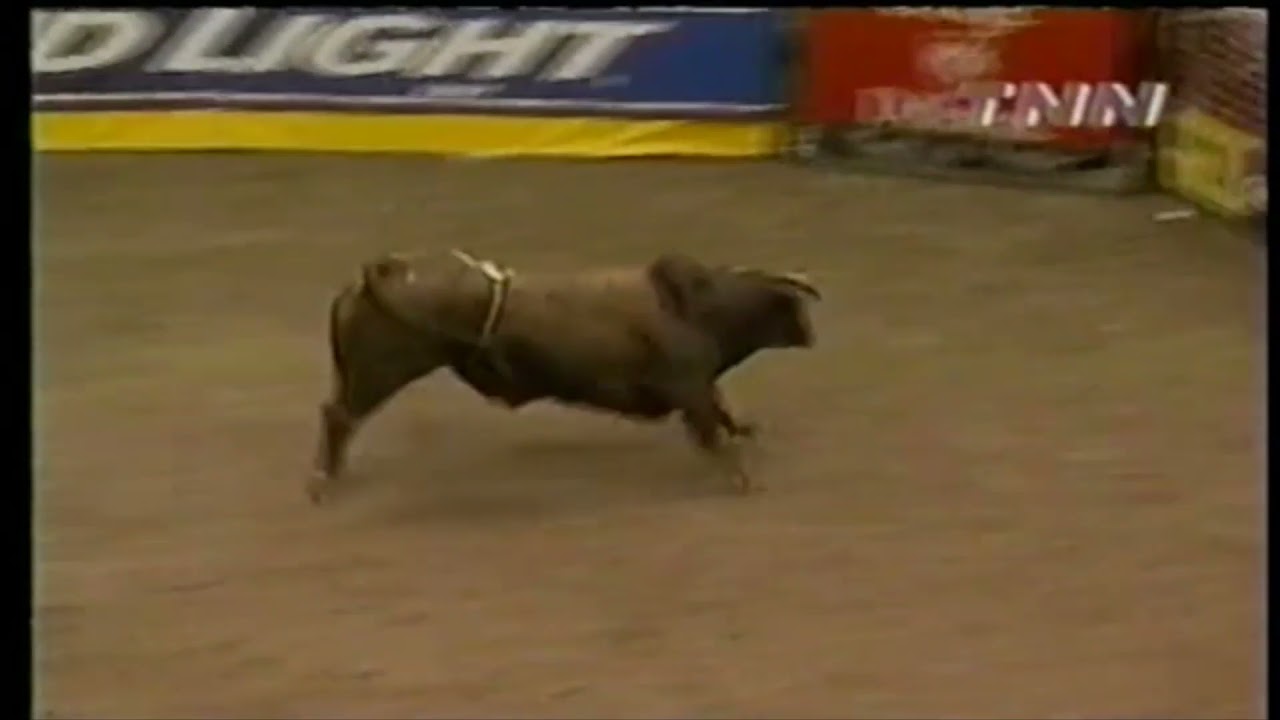 Unforgiven bucks Chris Shivers - 00 PBR Salt Lake City