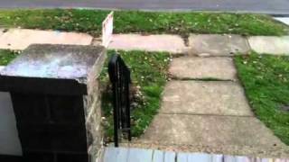 For rent - 134 Beebe Elyria Ohio