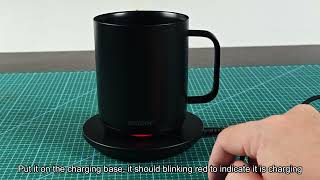 Exclusive Ember Mug Red Light: What It Means and How to Fix It Information