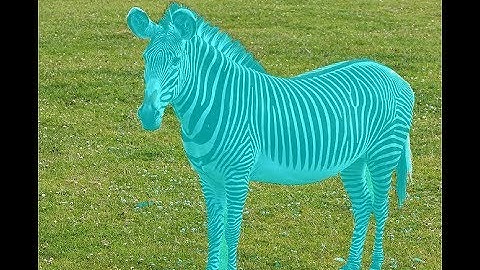 DIP Lecture 12b: Snakes, active contours, and level sets