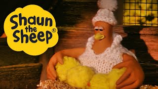 Who’s The Mummy | Shaun the Sheep | S1 Full Episodes