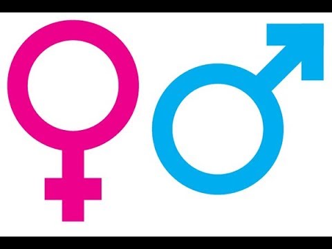 Male female перевод на русский
