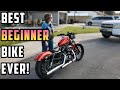 Here's Why The Harley Sportster 883 Is THE BEST Beginner Bike (For Me...)