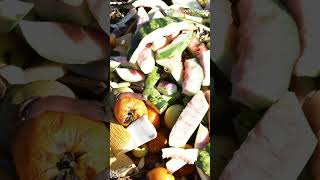 The Compost Ratio That Makes Soil Gold #CompostRight #SoilScience #OrganicSoil #DIYCompost