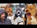 Dog Dynasty: Entire Season 4