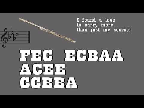 Ed Sheeran - Perfect - Flute {Notes}
