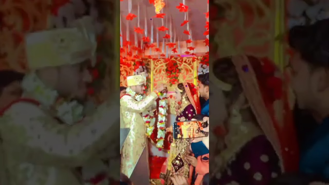 Best Jaimala Status Video 🥰🥰 