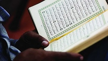 سورة الماعون - وديع اليمني