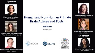 Human and Non-Human Primate Brain Atlases and Tools - Webinar (June 11th, 2024)