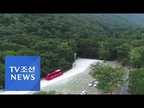 국내 최대 '강진 초당림' 29~30일 개방
