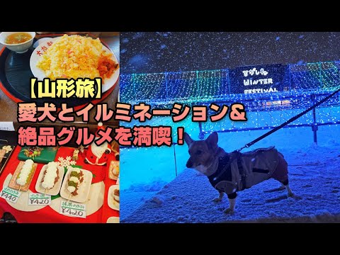 【イルミネーション散歩】冬限定、愛犬と行くイルミネーションとデカ盛りグルメ旅【山形旅】【ひがしねウィンターフェスティバル】