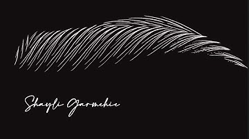 Bold Brows Best Pattern Sketch by Phi Academy Master Shayli