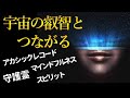 アカシックレコードは高次元存在との架け橋！宇宙の叡智にアクセスすればあなたは守り神と繋がる！！四大守護霊のすべて