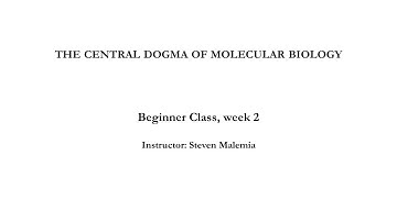 SynBio4ALL Beginner Course | Week 2 – How does biology process information? (Central Dogma)