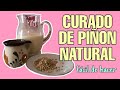 Como hacer un curado de PIÑON NATURAL