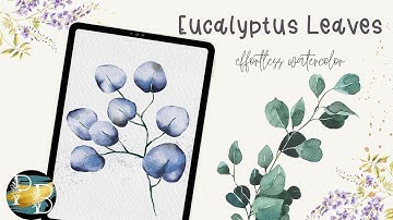 Procreate Watercolor Eucalyptus Leaves in 10 minutes