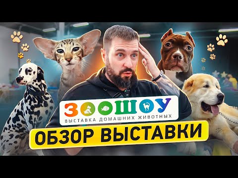 Самая масштабная выставка животных Санкт-Петербурга | ЗООШОУ ЗИМА 2023