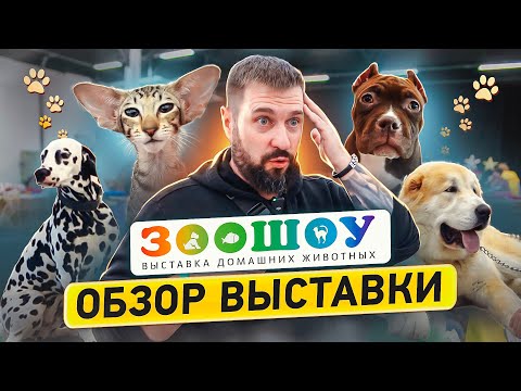 Видео: Самая масштабная выставка животных Санкт-Петербурга | ЗООШОУ ЗИМА 2023