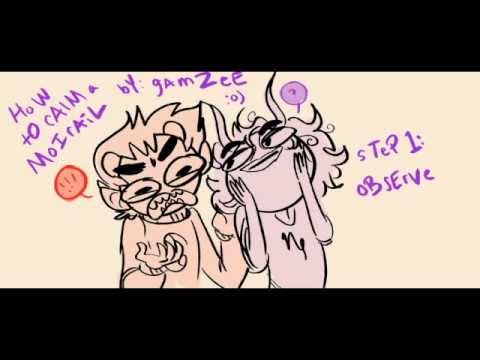 homestuck quadrants How to Calm A Moirail