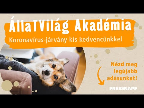 Videó: Biztonsági óvintézkedések Kutyák Járatásakor Járvány Idején