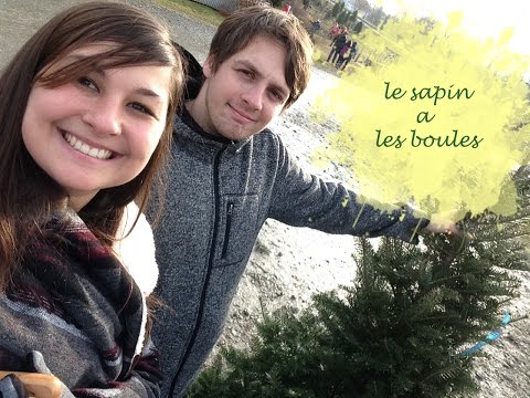 Le sapin a