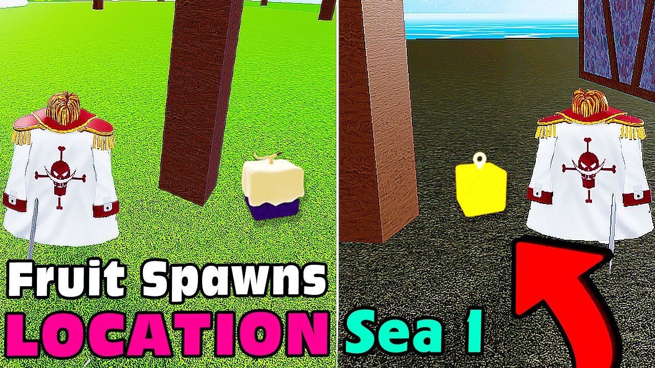 Fruit Spawn Locations in Blox Fruits First Sea