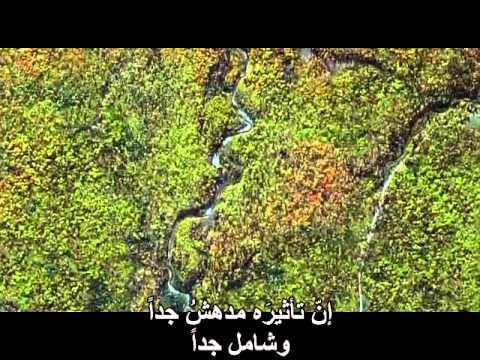 Bbc Planet Earth Ep10 الغابات النفضية Youtube