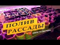 Как не перелить рассаду.