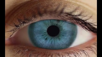 WordPress LMS Membership Plugin | LifterLMS Release 1 4 1