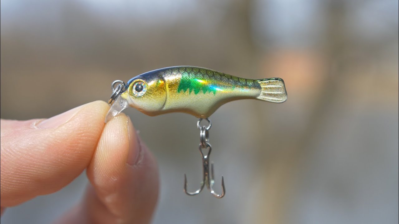 CHEAP Micro Crankbait? (Is It any Good?!) YouTube