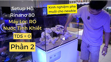 [Part 2] Hướng dẫn set-up hồ Rinano 80 Basic Nuôi San Hô Cá Biển: Tip Chuẩn bị nước pha muối lần đầu