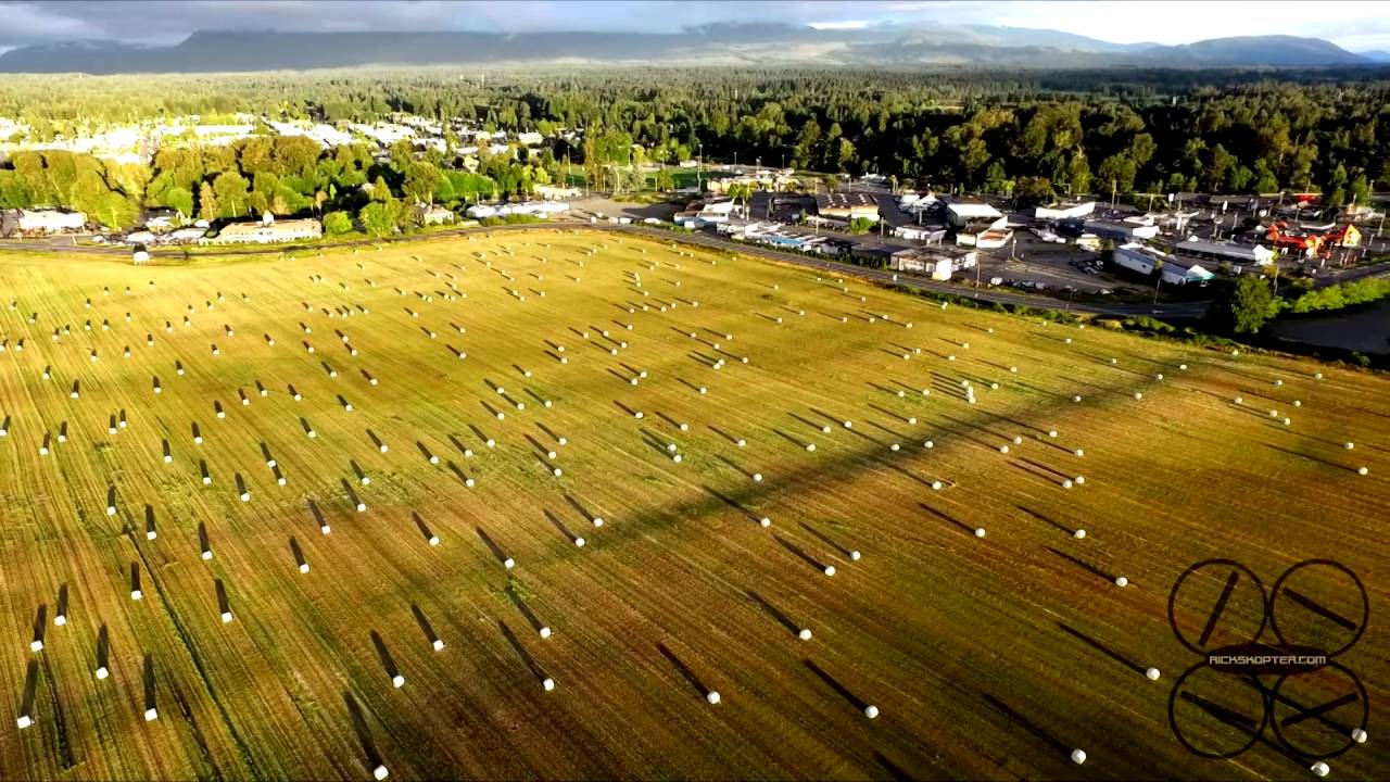 Comox Bay Farm YouTube Comox Bay Farm YouTube