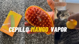 Pongámoslo a Michi-prueba: Cepillo Mango a Vapor