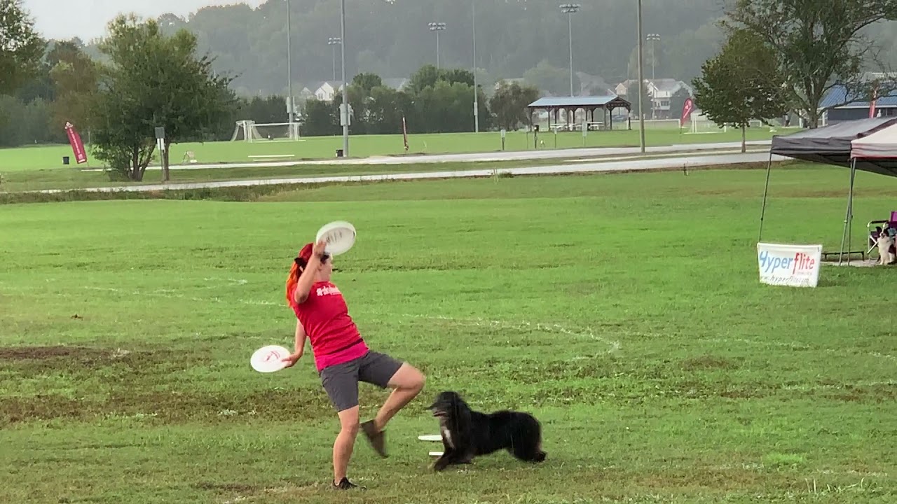 Muse & Kirby - Skyhoundz DiscDogathon Freestyle World Championship