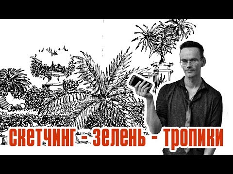 ⁣Как рисовать тропические растения, листья  - ландшафтный скетчинг - Эдуард Кичигин