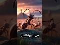 نملة سيدنا سليمان عليه السلام النملة التى اوقفت جيش نملة سيدنا سليمان عليه السلام النملة التى اوقفت جيش