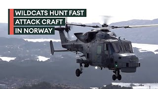 Royal Navy Wildcats in action with phantom of the fjords corvettes
