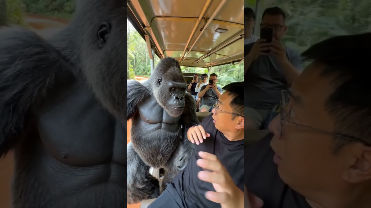 You’re on safari and the animal suddenly talks 😂 #funny #funnyshorts #funnyvideo #jungleadventure