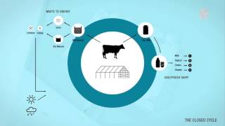 Animatie van de drijvende boerderij