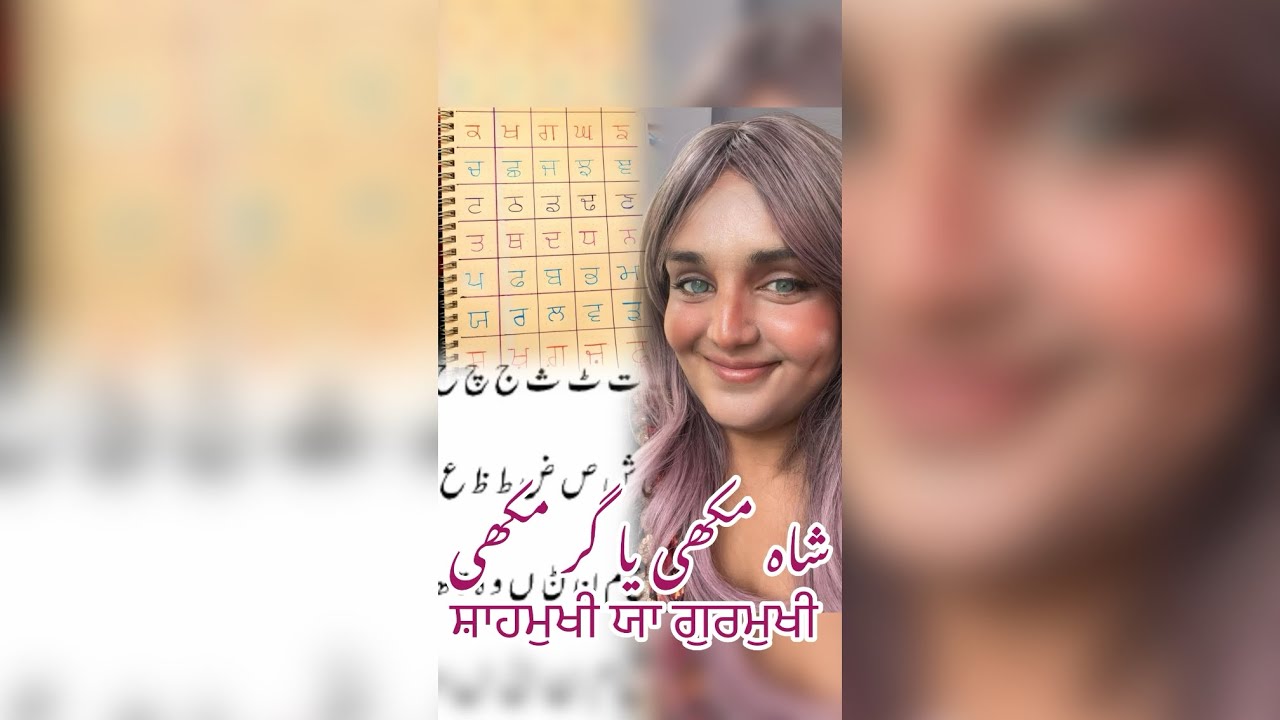 Which script is better for Punjabi ? Shahmukhi or Gurmukhi ?