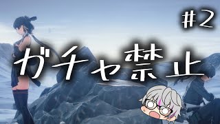 初見でガチャ禁止を強いられた配信 #2【鳴潮】