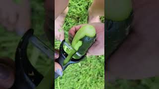 peeling a cucumber in the grass #cucumber #asmr