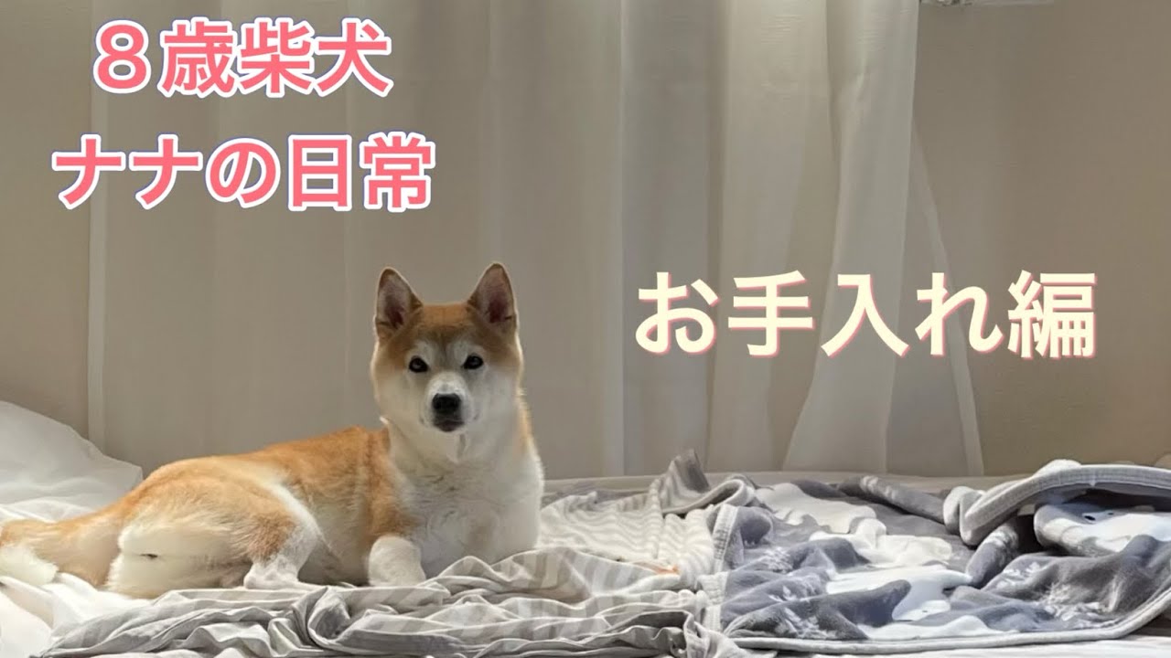 [そうなるよねー] しっかりお手入れしたいけど、やっぱり無理？