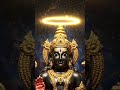 Govinda Govinda tirupati Balaji🌹🙏#venkateswaraswamy #venkateswar#tirupatibalaji #srinivasa🌺🌹🙏🙏🌹🌺