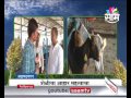 १३ जातीच्या शेळ्यांचं पालन,  कृषीपदवीधर शेतकऱ्याचं शेळीपालन | Success story of  Goat farming