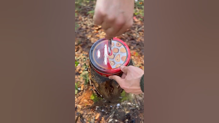 DIY Survival Water Filter: Turning Dirty Water Potable! 🏕️💧
