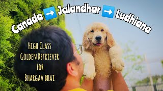 Bharghav Bhai के लिए HIGH CLASS Golden Retreiver | भेजने से पहले हो गई बड़ी PROBLEM